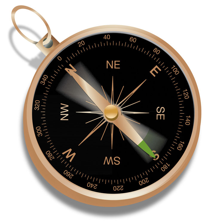 Picture Of Black Brown Compass